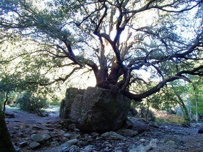 domenica 21 febbraio 2016: Montes - Badu 'e s'Eni - Sa Senèpida