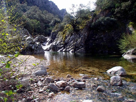 mercoledì 9 marzo 2016: Teletotes, affluenti del Rio Codula Ilune
