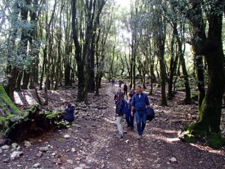 domenica 20 novembre 2016: Cuile Sa Senèpida - Sas Baddes.