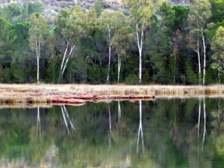 14 gennaio 2018: Biderrosa - Berchida.