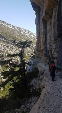 26 maggio 2018: Istrada Longa  e Bacu S'Orruargiu (Baunei)